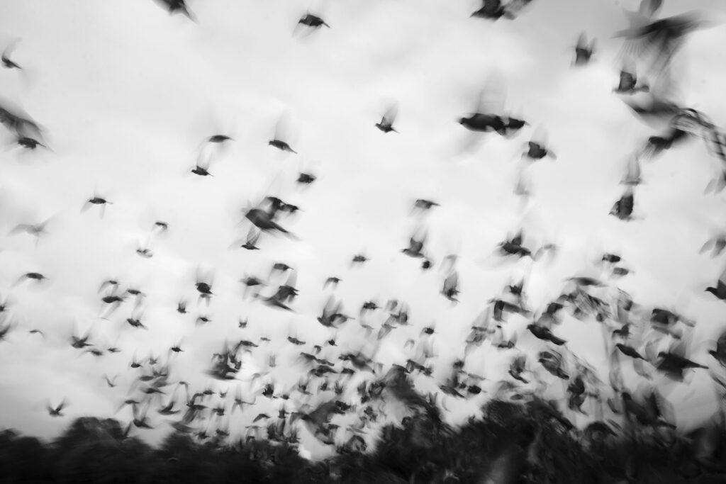 what remains in the air abstract photography vivek kumar